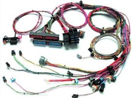 Engine Management Wiring